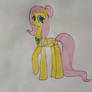 Fluttershy (Older)