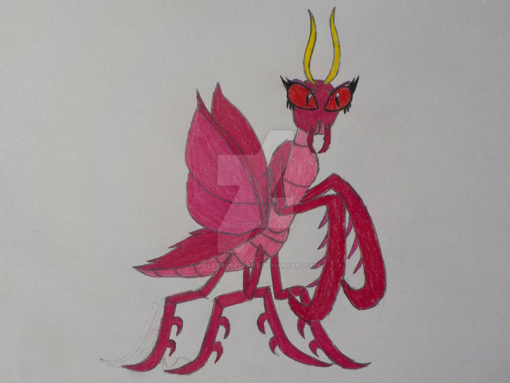 Mantis Digimon Persephone as a Praying Mantis by VioletRose13-Art on DeviantArt