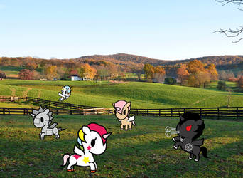 Tokidoki Farm