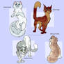 some thunderclan cats