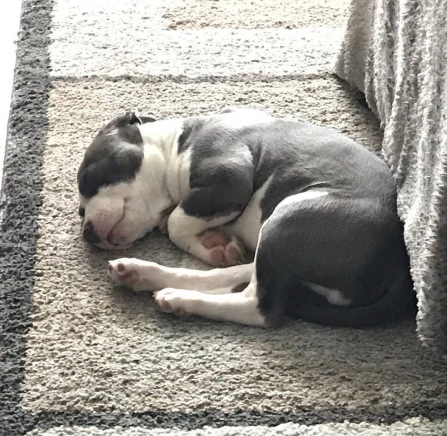 baby greyson by Goldsand on DeviantArt