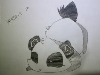 panda