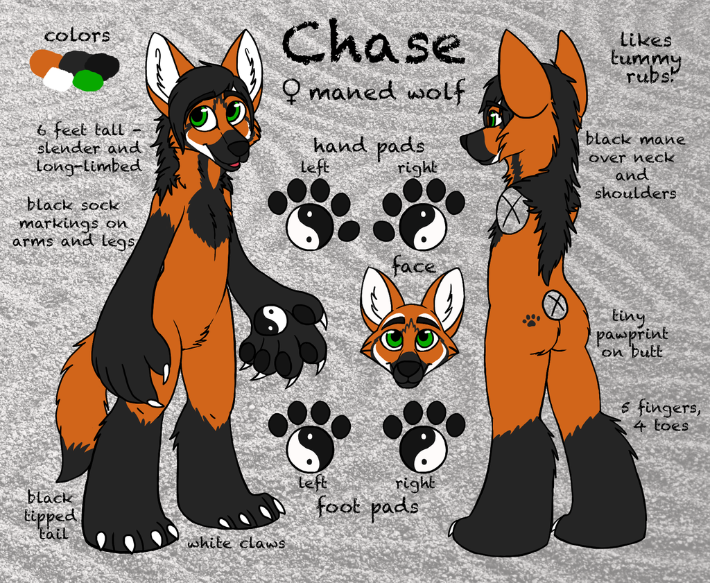 Chase Stylized Ref