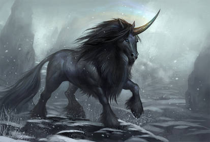 black mountain unicorn