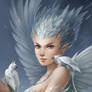 Snowy Harpy