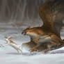Snow Hunt