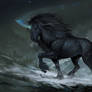 Black Mountain Unicorn 2
