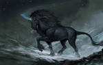 Black Mountain Unicorn 2