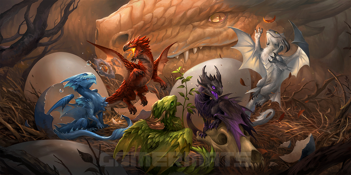 Baby Dragons