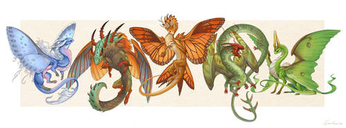 Butterfly and Moth dragons