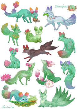 Flowerfoxes