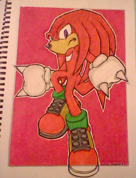 Knuckles The Echidna