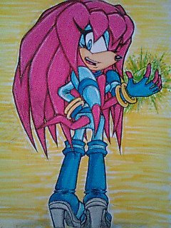 Sky T. Echidna