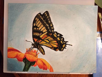 Butterfly Oil Pastel