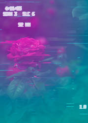 Rose in Cyberspace