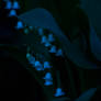 Delicate and Highly Poisonous II
