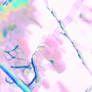 Pink and Nauseous III