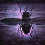 The Fly in Your TV