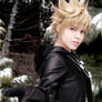 Roxas: Take my Hand...