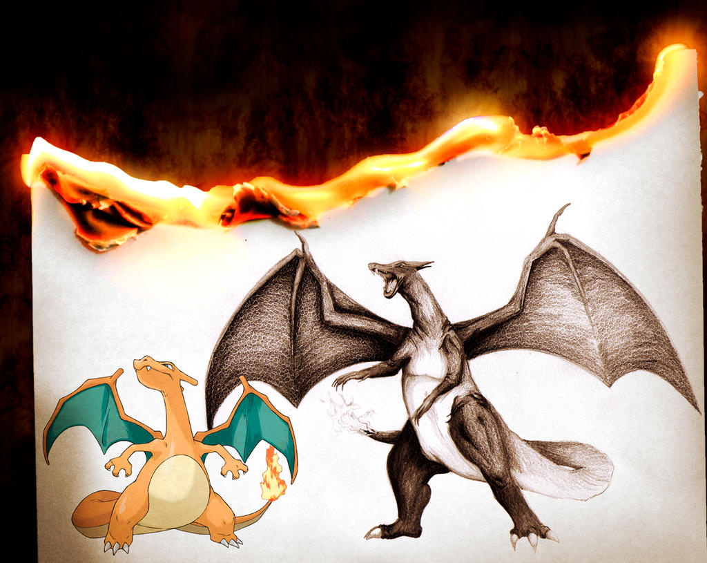 Charizard Refrence Charizard by maxig09 on DeviantArt