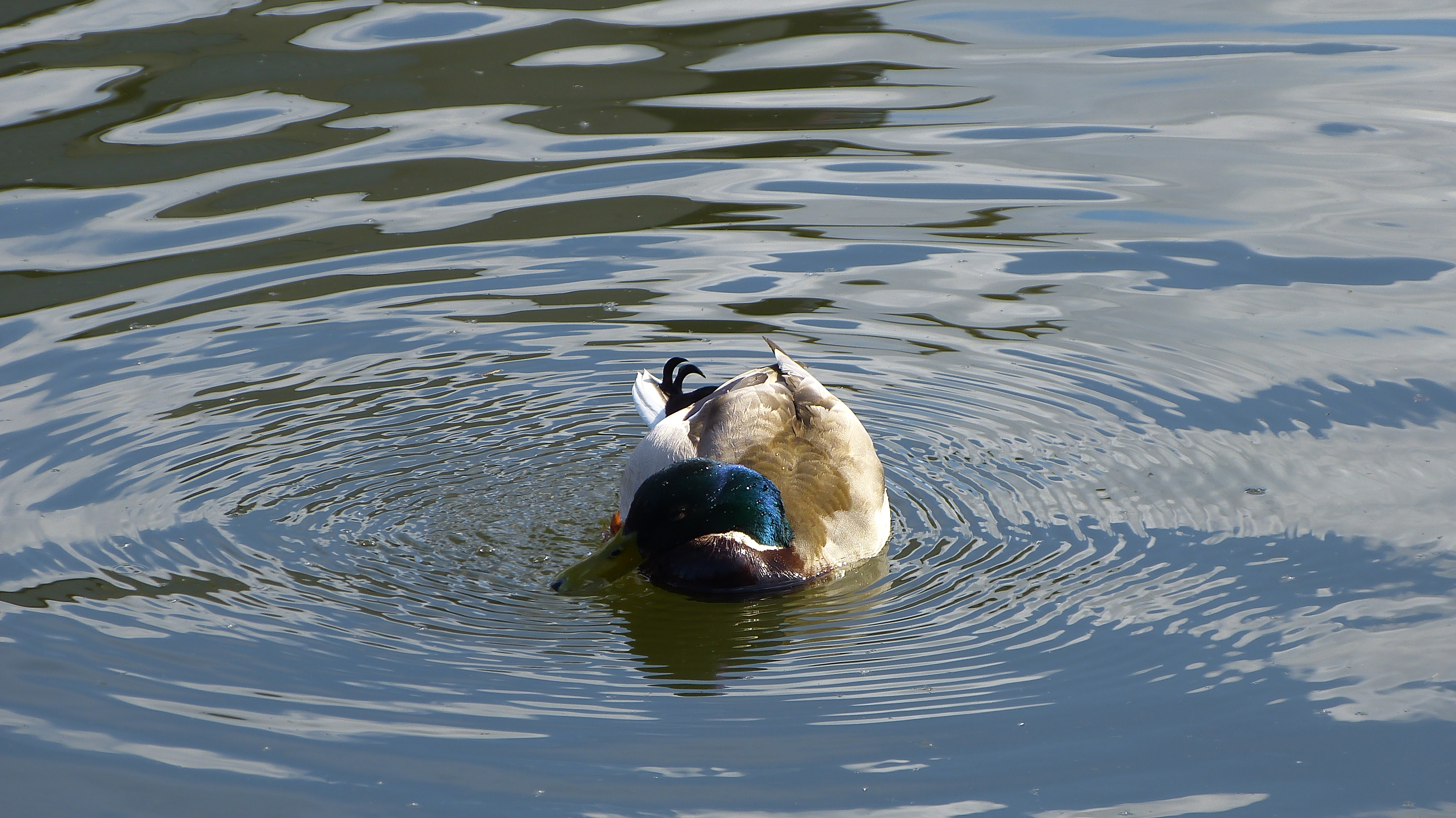 Bathtime.