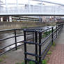 A bridge across still waters.