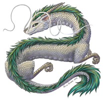 Haku the dragon