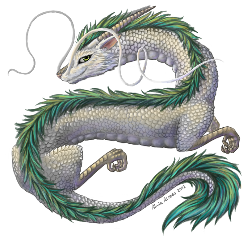 Haku the dragon