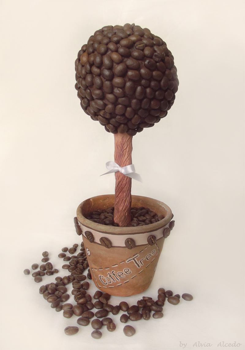 Coffee tree