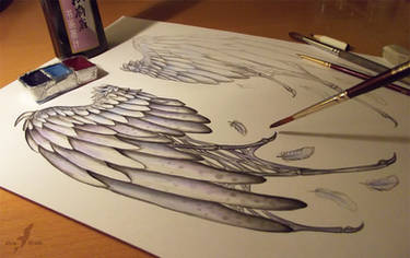 Fallen angel's wings  - Work in progress