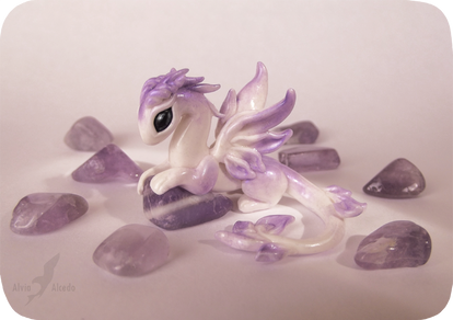 Little amethyst dragoness