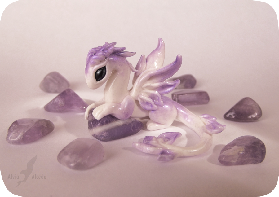 Little amethyst dragoness