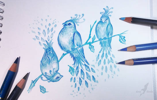 Winter birds