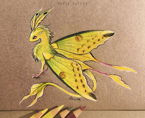 Comet moth dragon