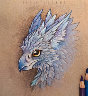 Fluffy gryphon