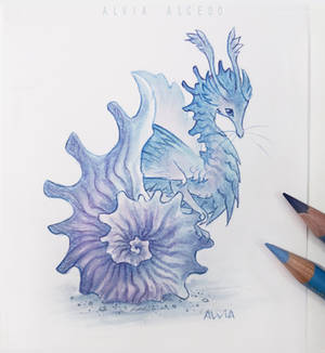 Explore the Best Shell Art | DeviantArt