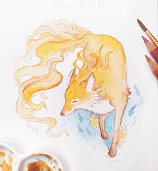 Sun fox