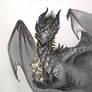 Drak dragon sketch