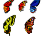 Butterfly wing bases set 1