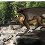 Tephrun the Dragonwolf F