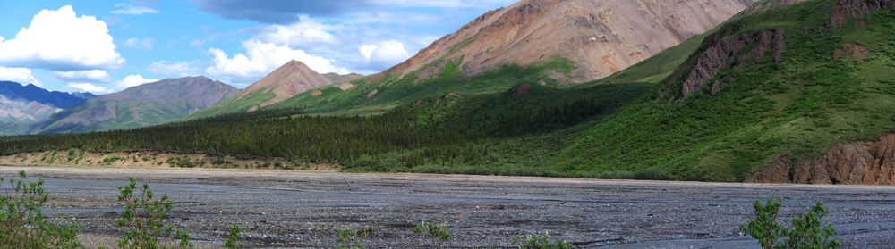 Denali, AK [04]