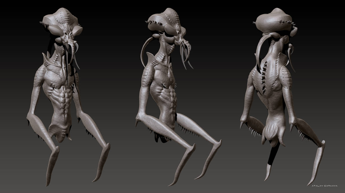 HUNTER INSECT - CLAY 1 by ATALAYCANKAYA on DeviantArt