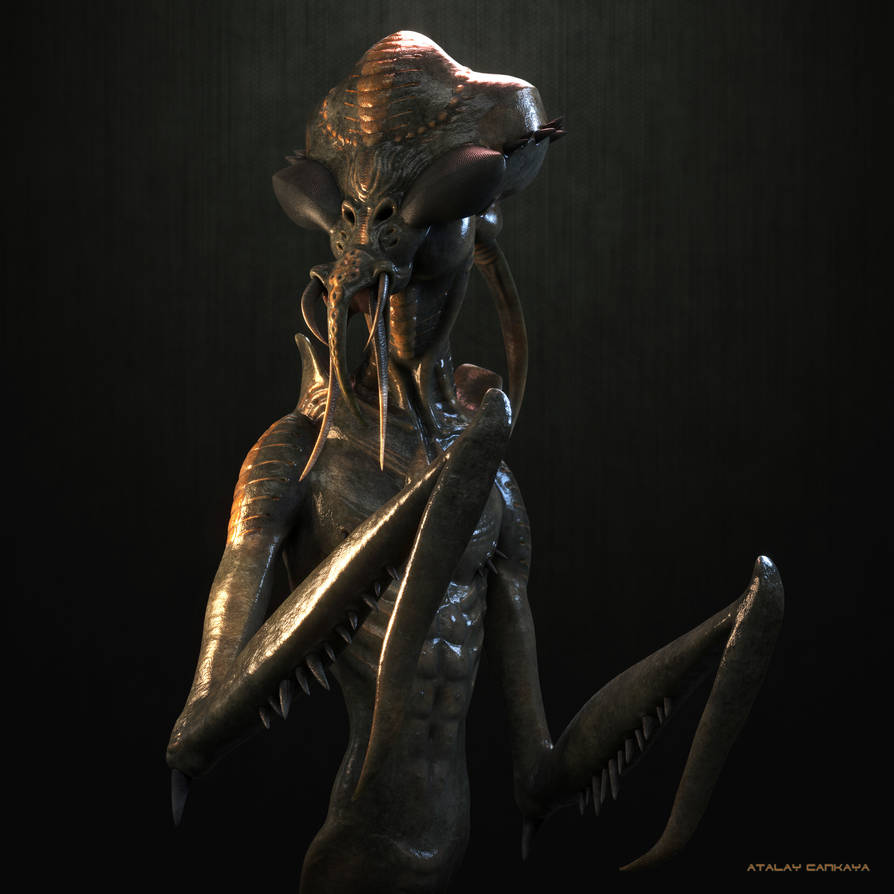 HUNTER INSECT - 3 by ATALAYCANKAYA on DeviantArt