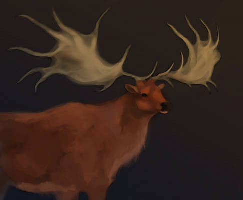 Deercember #3 | Irish Elk