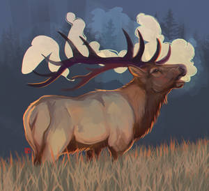 Elk
