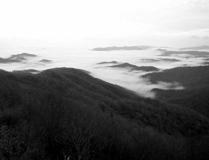 sea of clouds