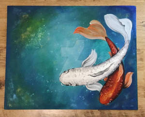 Koi fish