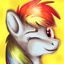 Rainbow Dash headshot