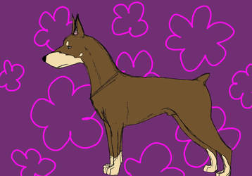 Anothurr Dog Colored