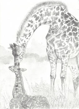 Giraffes, the big and little.